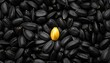 © FM - A single, radiant golden sunflower seed boldly contrasts against a bed of dark seeds, symbolizing uniqueness and standing out from the crowd.