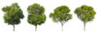 © angkhan - A premium collection of four lush green trees PNG transparent easy to drag and drop to main project