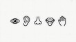 © PAVEL - Five human senses editable stroke outline icons set isolated on white background flat vector illustration.