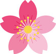 © Taslima - Vector Illustration of Pink Sakura Cherry Blossom Flower Isolated on White Background