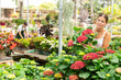 © JackF - Cheerful young girl admiring blooming potted hydrangea with lush red flowers in sunlit outdoor garden store