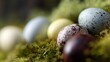 © Anastasia - Group of four eggs lying on a bed of green moss. the eggs are of different colors - one is white, one is light blue, and one is dark brown. all the eggs have a speckled pattern on their surface.