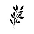 © Siam - Elegant black silhouette of a sprig of leaves on a white background