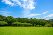 © inoumasa - 公園の新緑と青空