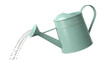 © Nasima Begum - Green metal watering can pouring water