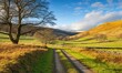 © VideoHub - Serene countryside scene with a narrow dirt road winding through green meadows under a bright blue sky, with golden sunlight illuminating the hills