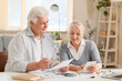 © Pixel-Shot - Senior couple with refund form using calculator at table in room