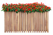 © POSMGUYS - Wooden planter box filled with busy lizzie flowers .Flower wooden window box transparent background