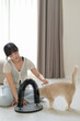 © Jirawatfoto - Happy asian woman petting friendly cat inside cozy home enjoying mental health and wellness activities with playful pet using brush arch toy on floor smiling calmly today
