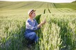 © sofiko14 - A woman in overalls and a hat crouches in a lush green wheat field, examining her smartphone