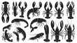 © Md - Lobster silhouette set, seafood animal illustration, marine creature graphic, crustacean drawing, fishing design element, cad drawing flat vector illustration