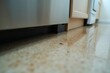 © Vera - Close-up Image of Kitchen Floor Flooded by Water Leak from Broken Dishwasher
