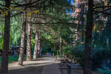  Green Alley with Flowering Shrubs in Tbilisi