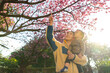 © leungchopan - Parent and baby enjoying cherry blossom garden