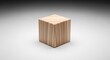 © tpadobestock - A singular wooden cube isolated on a clean white surface representing a fundamental item for discussion, analysis, or planning, discussion, single, singular