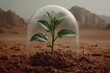 © whitestorm - A small plant grows inside a glass dome in a desert landscape, symbolizing protection and resilience, showcasing the struggle for survival in harsh conditions, earth.