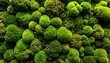 © Arii - Lush green moss clumps clustered together, forming a vibrant and textured wall of natural plant life
