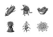 © PixeloAI - Vintage engraving style corn harvest set featuring corn cob, stalk, antique grinding machine, grain pile, and corn shocks