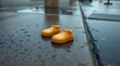 © Sampath - A pair of tiny yellow rain boots sit on a wet, reflective sidewalk, hinting at a child's recent presence.