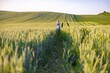 © sofiko14 - A mother and child walk hand-in-hand through a lush green wheat field during golden hour, with rolling hills in the background