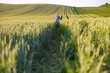 © sofiko14 - A mother and her young daughter walk hand-in-hand through a lush green wheat field during golden hour
