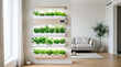 © Tasha Sinchuk - Multi level indoor hydroponic garden growing fresh herbs and leafy greens on a wall mounted system with LED grow lights inside a bright modern living room.