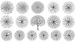 © Emongrapic - Top view architectural tree plan symbols with branch details for landscape site mapping illustrations
