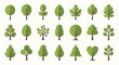 © Par - Collection of Diverse Green Tree Illustrations in Flat Design Style.