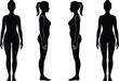 © Mst - Black silhouette of female body front and side view isolated on white background for medical anatomy fashion and fitness design