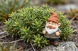 © Ilyass - Cheerful Gnome Among Lush Greenery