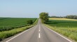 © AkuAku - Countryside road cutting through green spring crop fields with copyspace