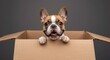 © TheWaterMeloonProjec - Cheerful French Bulldog pup playfully peeking out from a cardboard box scene