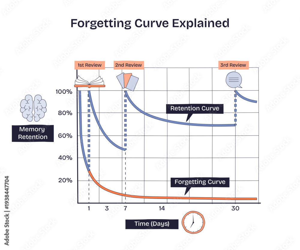 Forgetting Curve explained, graph of memory decay across days, reviews ...