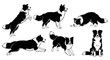 © Captain - Border Collie Dog Poses Set: Active, Playful, and Relaxed Silhouettes