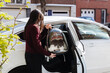 © Nataliya - Portrait of a girl with a cat in a backpack, entering a car.