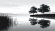 © dunia - Serene grayscale landscape, lake with trees reflected in calm water