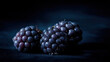 © Igor - Ripe Blackberries with Dew on Dark Background