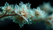 © Photographer - Slees Concept Visuals biodiversity preservation organic fractal growth luminous environmental resilience symbolism variation