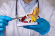 © Gautier Normand - Un orl en train d'examiner le fonctionnement de l'oreille sur un modèle 3D avec un stylo. En arrière-plan, il est habillé d'une blouse médicale.