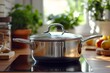 © Tetiana Kasatkina - selective focus modern stainless steel cooking pot with lid on sleek induction cooktop