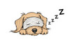 © Vlad - Cute and sleepy puppy dog wearing a white eye mask with zzz sleep symbols nearby illustrating a peaceful nap time or bedtime concept.