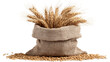 © ANISHA - A burlap sack filled with wheat grains and stalks isolated on transparent background