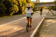 © Home-stock - Back view of woman riding bike on path with trees lining the way, lady cycling on sunny day, enjoying fresh air and nature