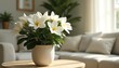 © Pete - White gardenia flowers in a pot sit on a wooden table. Soft light enters through a window illuminating the blossoms and green leaves. A plush couch is visible in the background.