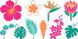 © Madhuka Disanayaka - Vibrant tropical floral elements with hibiscus plumeria bird paradise protea in hot pink sunset orange lush teal for exotic botanical branding design