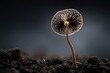 © Pororo - Delicate translucent mushroom glows eerily from within, soil detail
