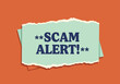 © khafid - Scam Alert! Warning Sign. Danger Notification. Information Graphic. Caution Message.