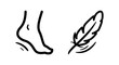 © AlMaruf - Light footstep icon with feather symbol for softness and gentleness