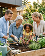 © D-stock photo - Happy family planting seedlings in a wooden box on the terrace