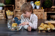 © Tomsickova - Beautiful preschool child, boy, playing with ducklings at home